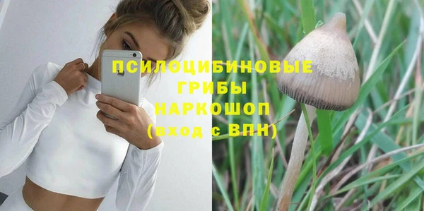 jwh Осинники