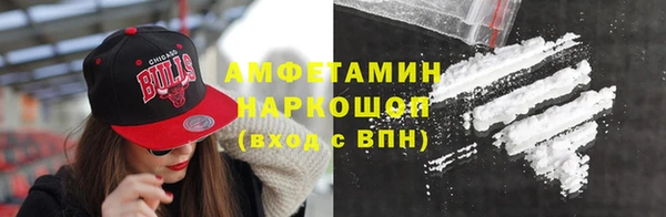 шишки Осташков