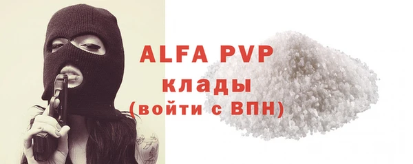 шишки Осташков