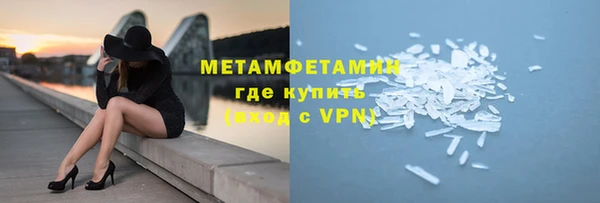 прущие грибы Пестово