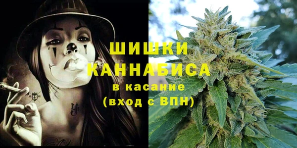 шишки Осташков
