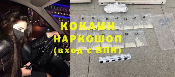 шишки Осташков