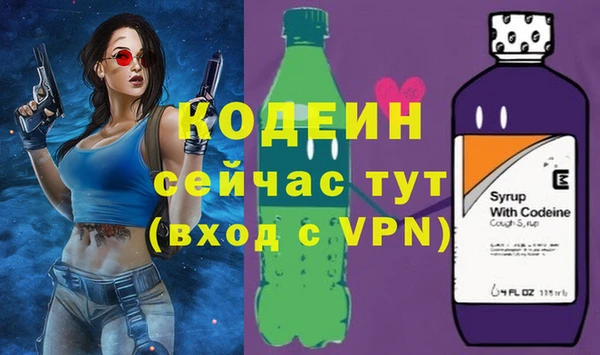шишки Осташков