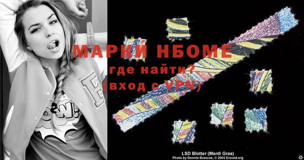 шишки Осташков