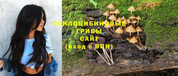jwh Осинники
